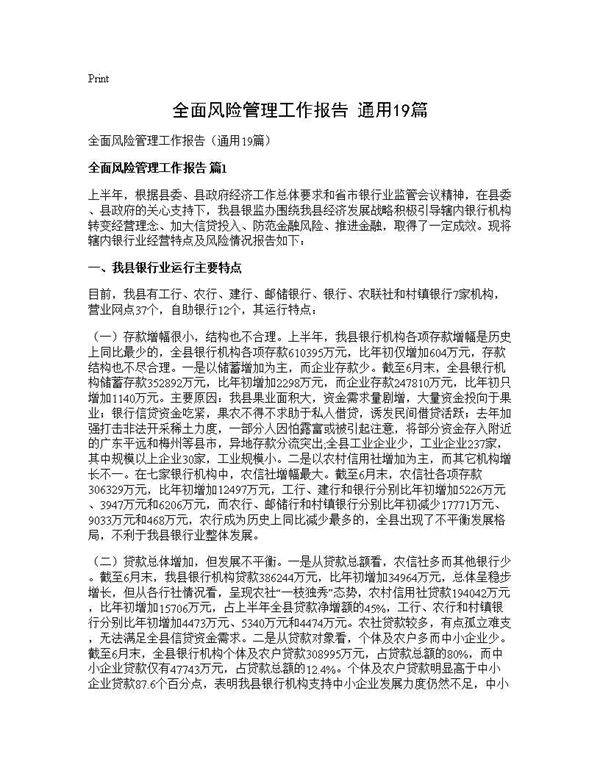 全面风险管理工作报告(通用) (共50页)