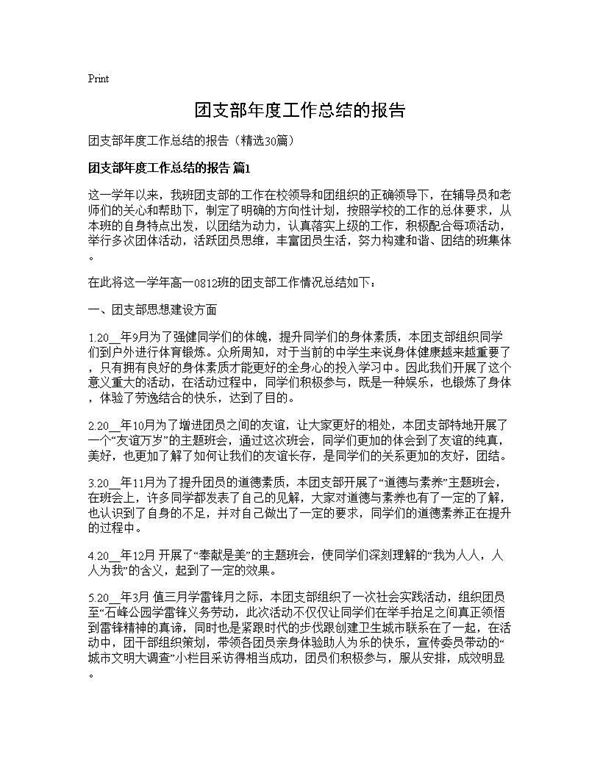 团支部年度工作总结的报告 (共45页)