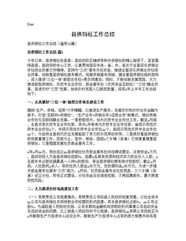 县供销社工作总结 (共59页)