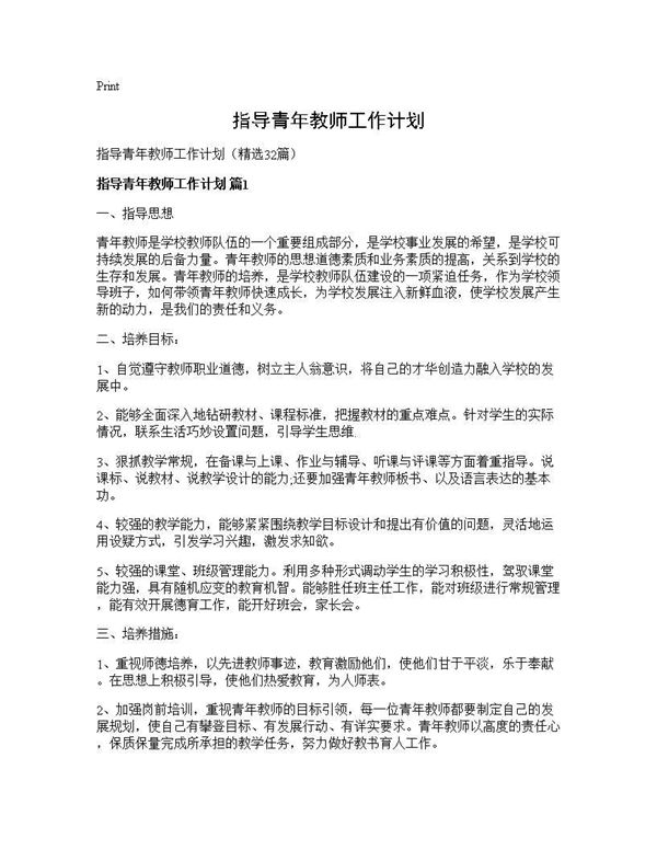 指导青年教师工作计划 (共45页)