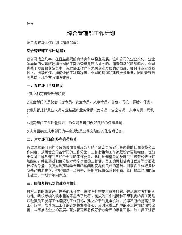 综合管理部工作计划 (共48页)