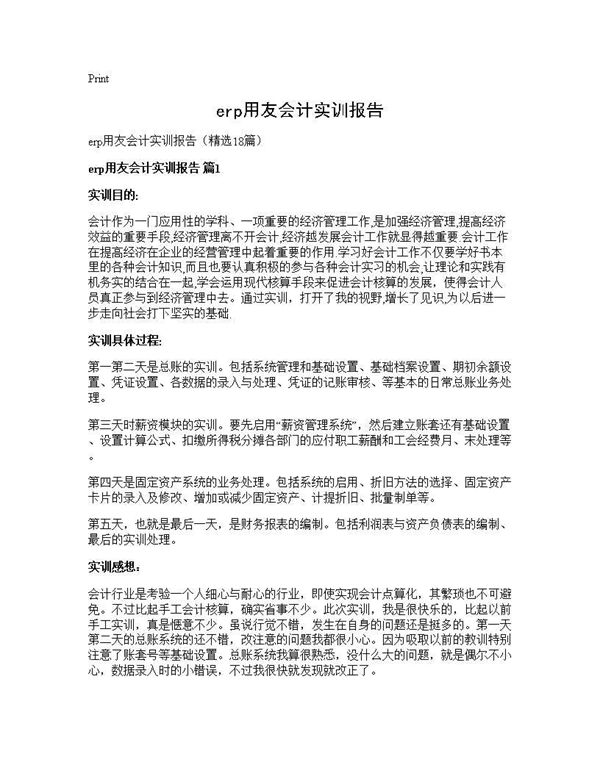 erp用友会计实训报告 (共28页)