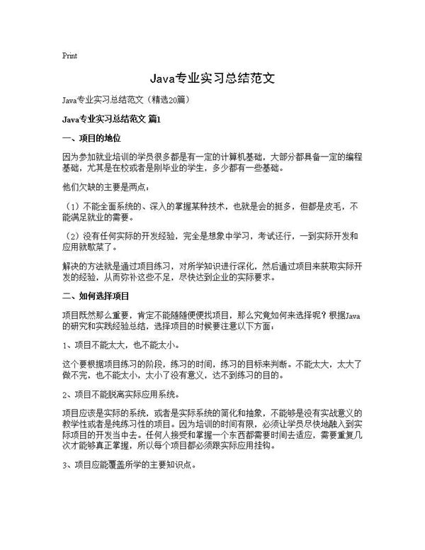 Java专业实习总结范文 (共27页)