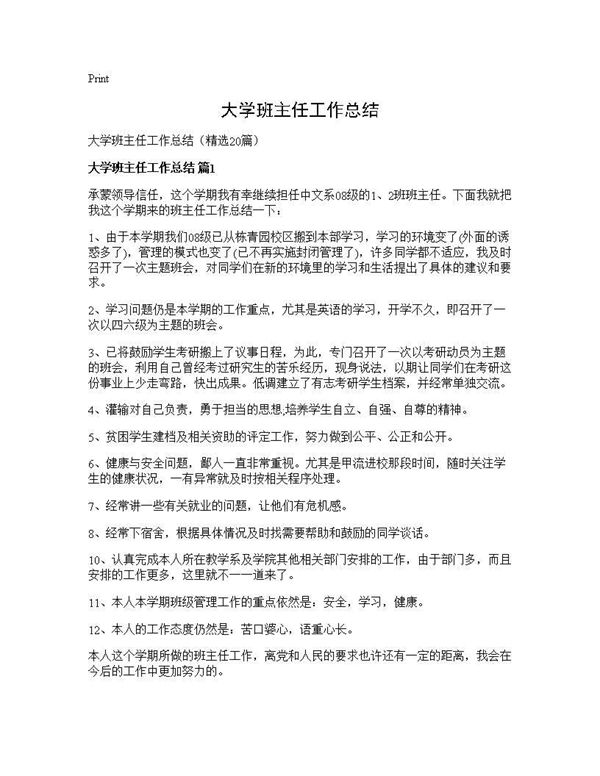 大学班主任工作总结 (共30页)