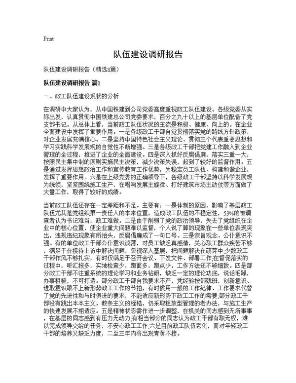 队伍建设调研报告 (共27页)