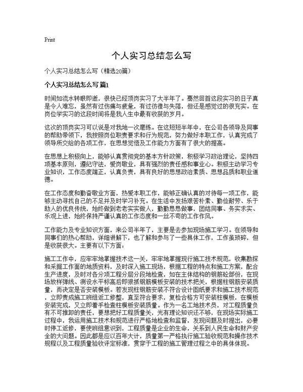 个人实习总结怎么写 (共30页)