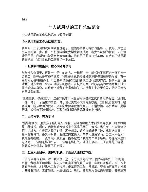 个人试用期的工作总结范文 (共32页)