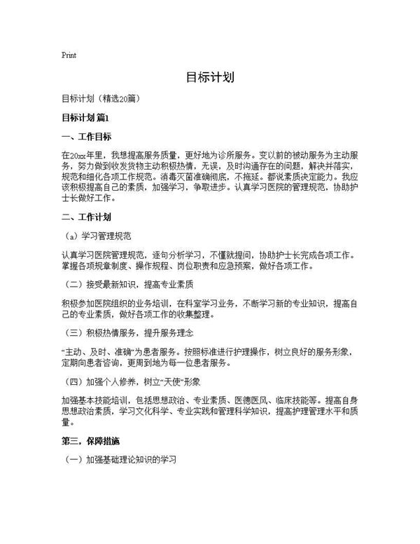 目标计划 (共38页)