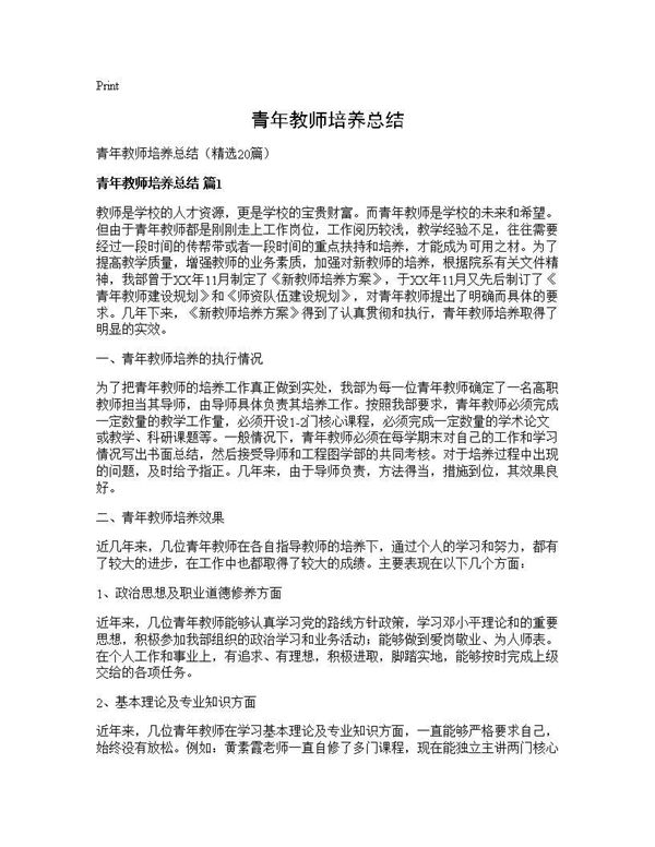 青年教师培养总结 (共29页)