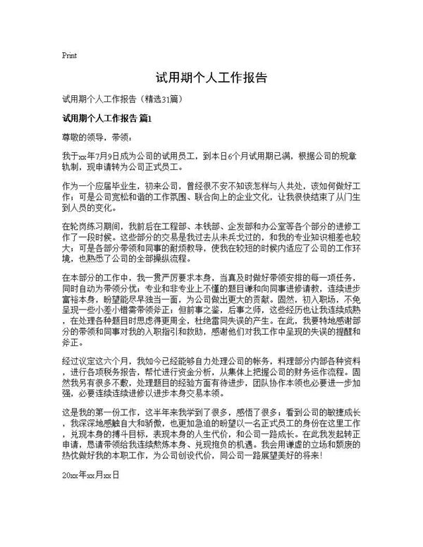 试用期个人工作报告 (共32页)