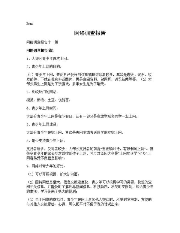 网络调查报告 (共35页)