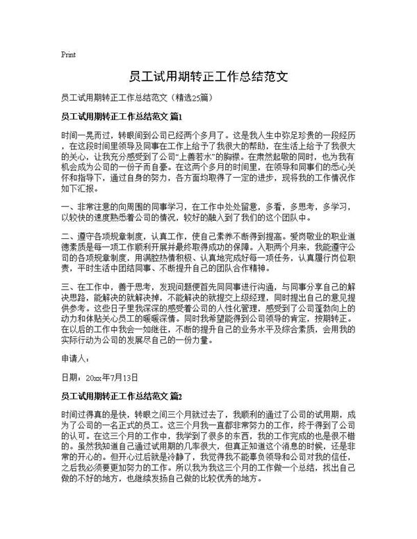 员工试用期转正工作总结范文 (共23页)