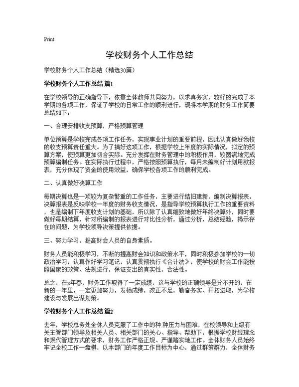 学校财务个人工作总结 (共30页)