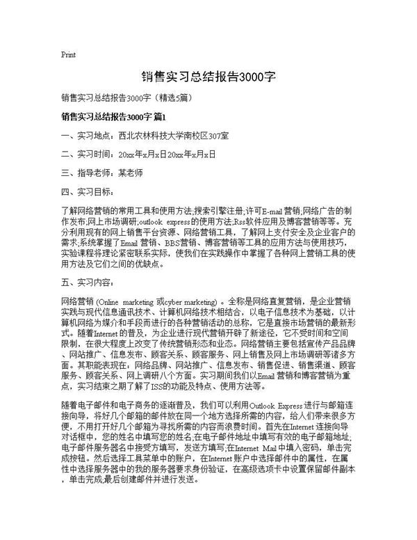 销售实习总结报告3000字 (共22页)