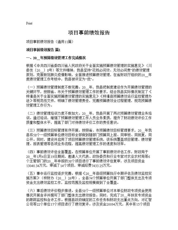 项目事前绩效报告 (共27页)