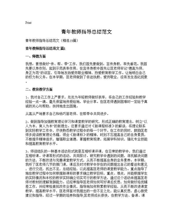 青年教师指导总结范文 (共21页)