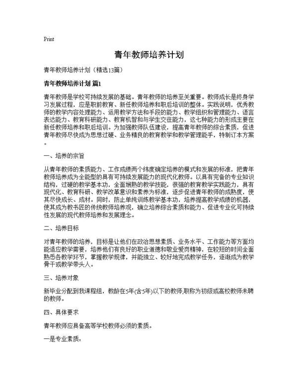 青年教师培养计划 (共29页)