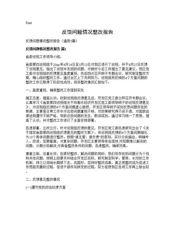 反馈问题情况整改报告 (共21页)