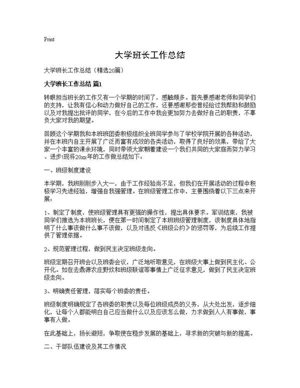 大学班长工作总结 (共27页)