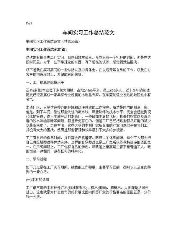 车间实习工作总结范文 (共25页)