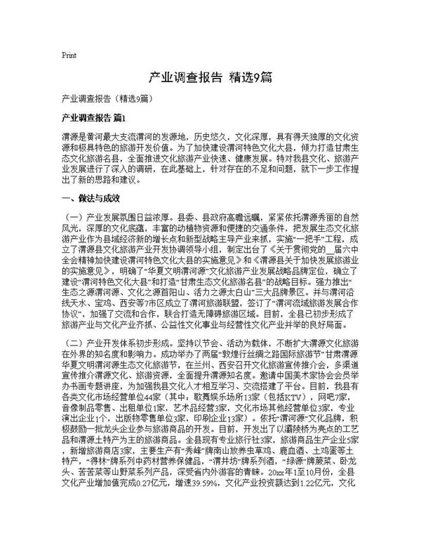 产业调查报告(精选) (共23页)