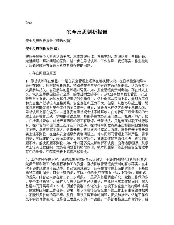 安全反思剖析报告 (共30页)