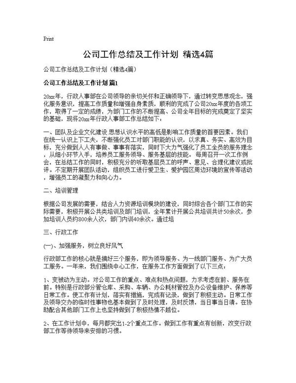 公司工作总结及工作计划(精选) (共12页)