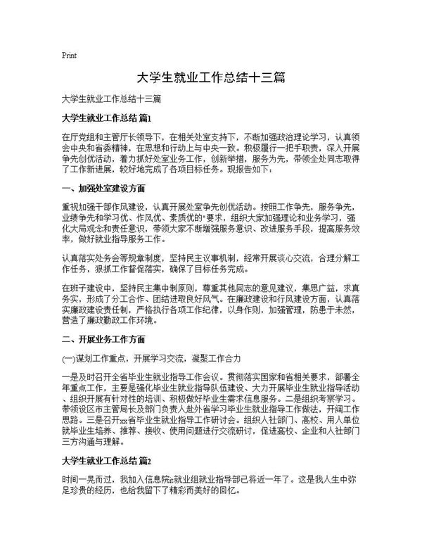 大学生就业工作总结十三篇 (共19页)