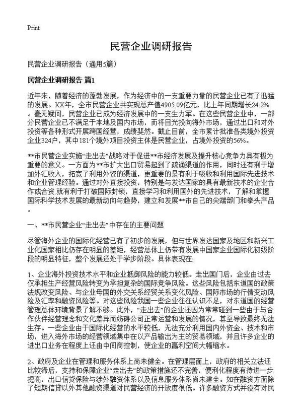 民营企业调研报告 (共14页)