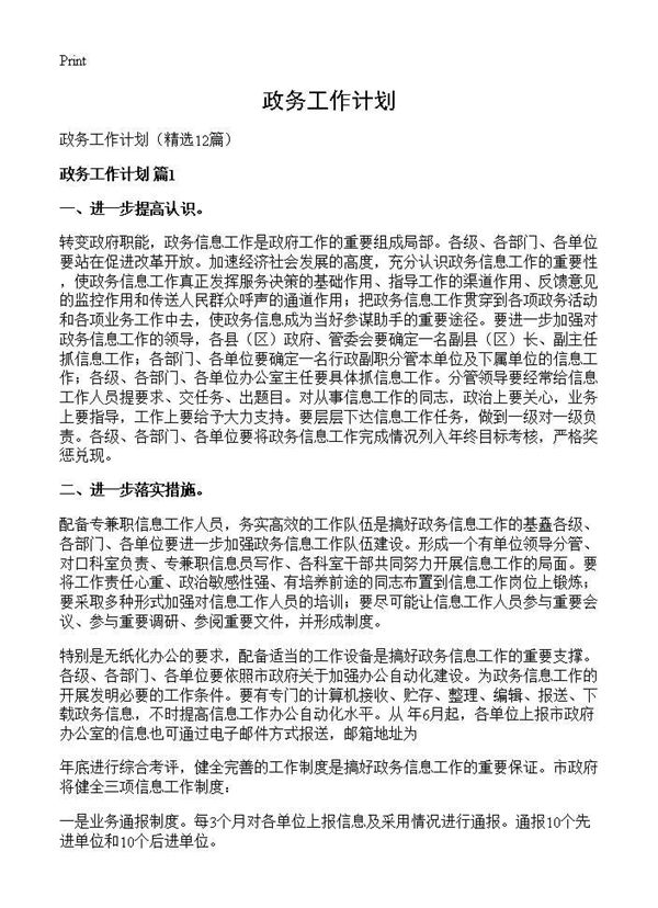 政务工作计划 (共19页)