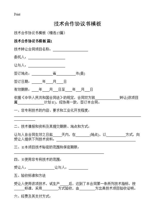 技术合作协议书模板 (共28页)