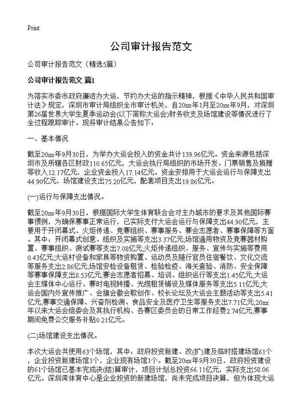 公司审计报告范文 (共21页)