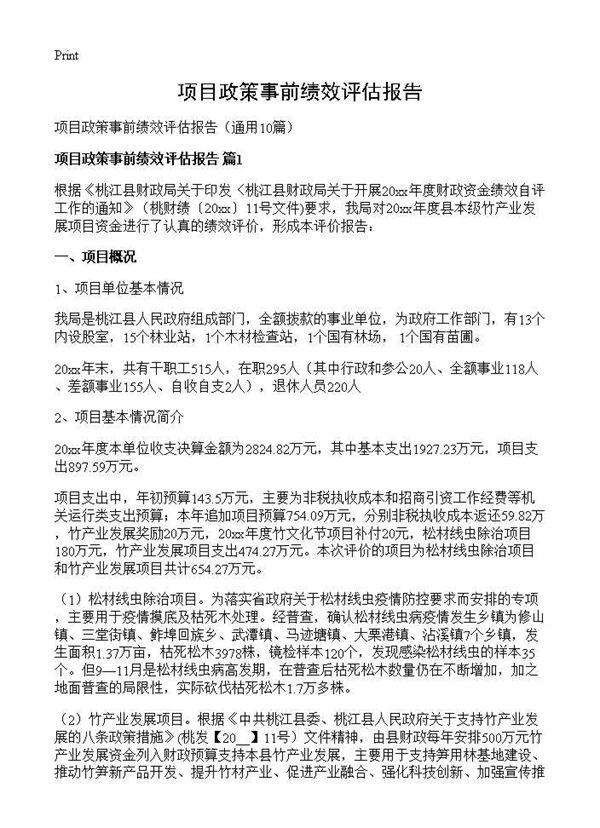 项目政策事前绩效评估报告 (共27页)