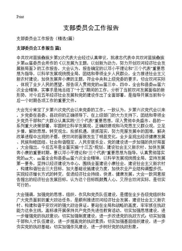 支部委员会工作报告 (共10页)