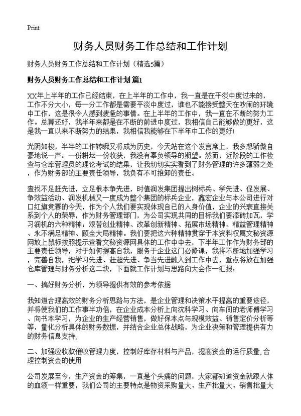 财务人员财务工作总结和工作计划 (共7页)