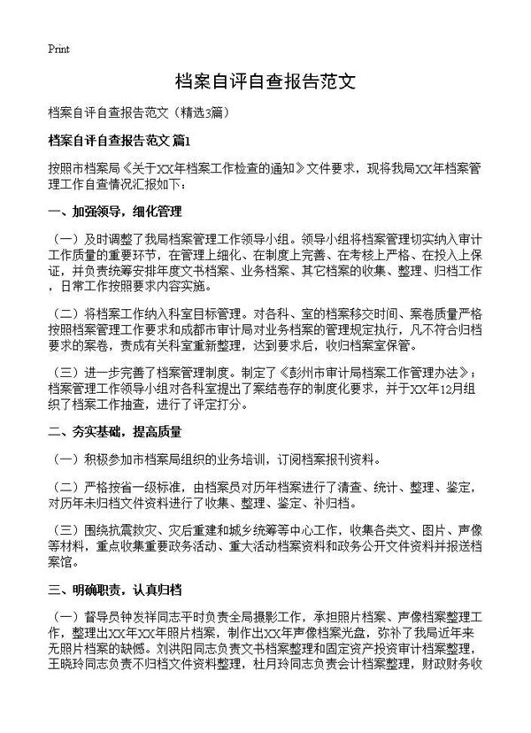 档案自评自查报告范文 (共4页)