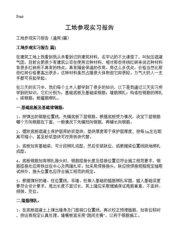 工地参观实习报告 (共5页)