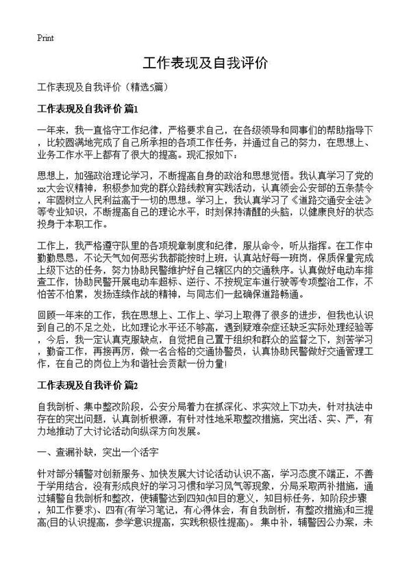 工作表现及自我评价 (共5页)