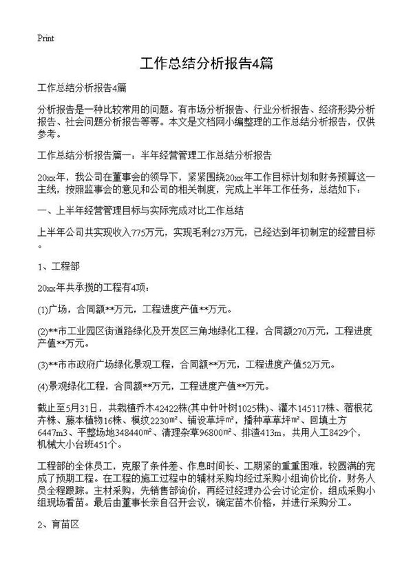 工作总结分析报告 (共10页)