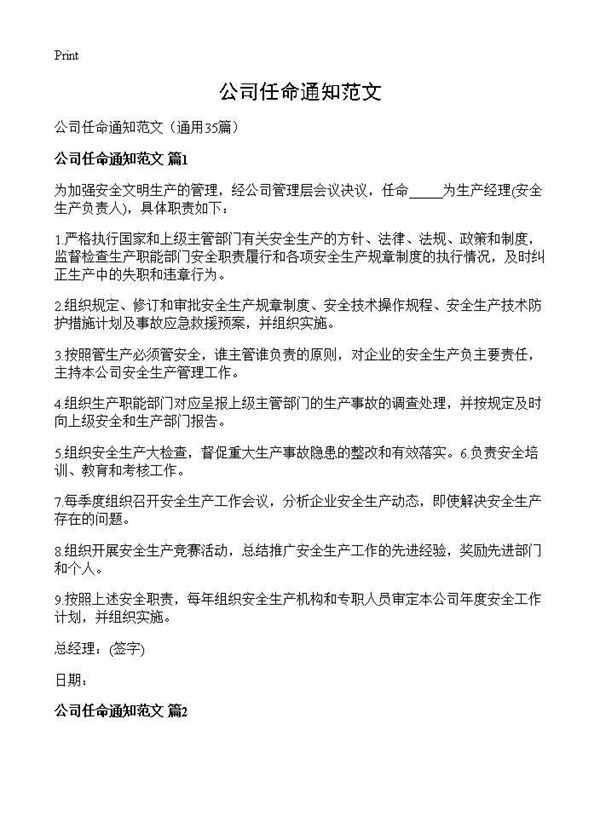 公司任命通知范文 (共14页)