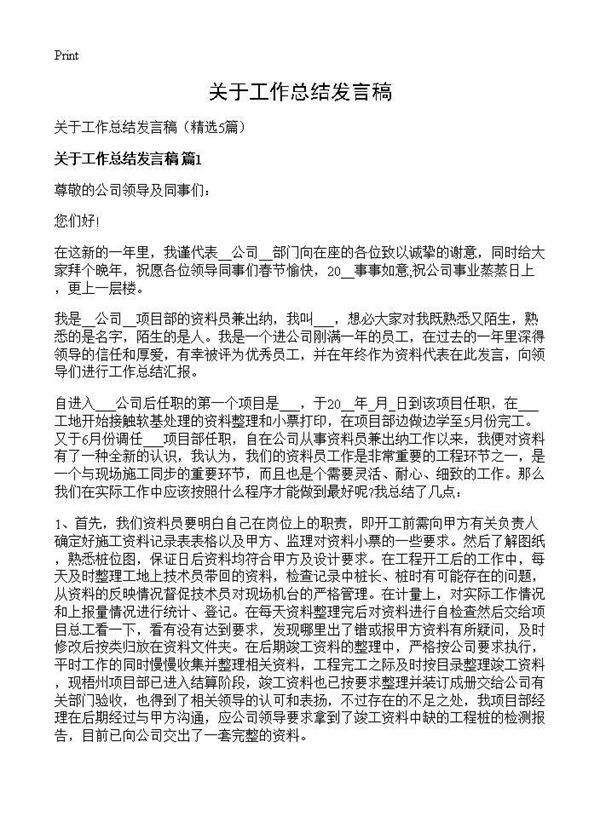 关于工作总结发言稿 (共7页)