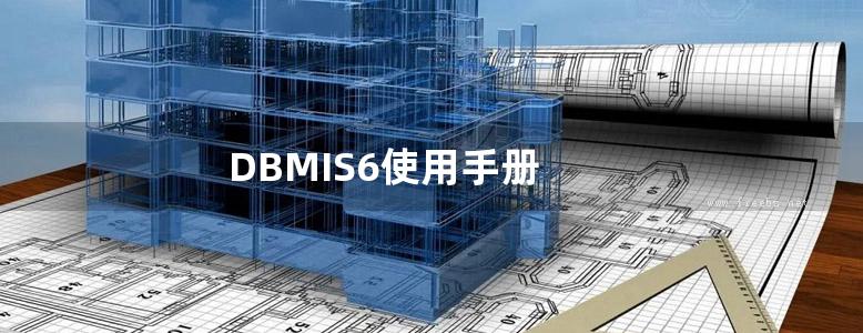 DBMIS6使用手册