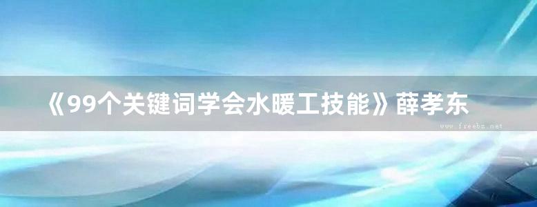 《99个关键词学会水暖工技能》薛孝东