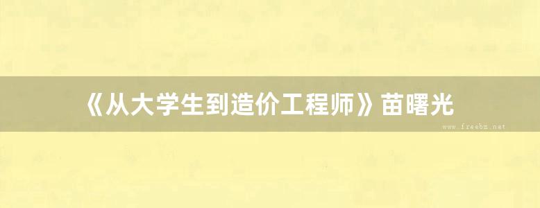 《从大学生到造价工程师》苗曙光