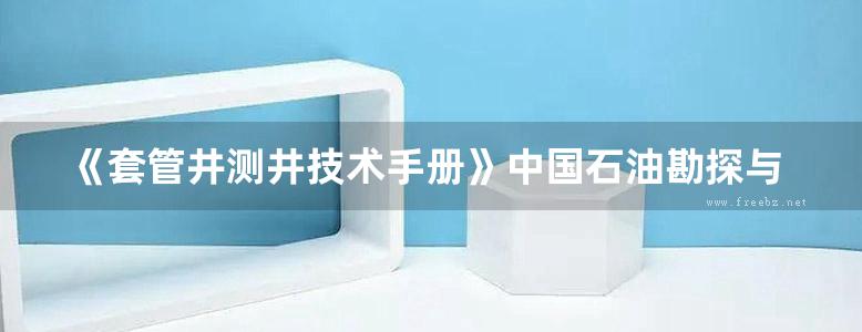 《套管井测井技术手册》中国石油勘探与生产公司