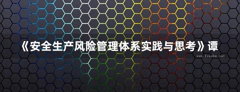 《安全生产风险管理体系实践与思考》谭冠雄