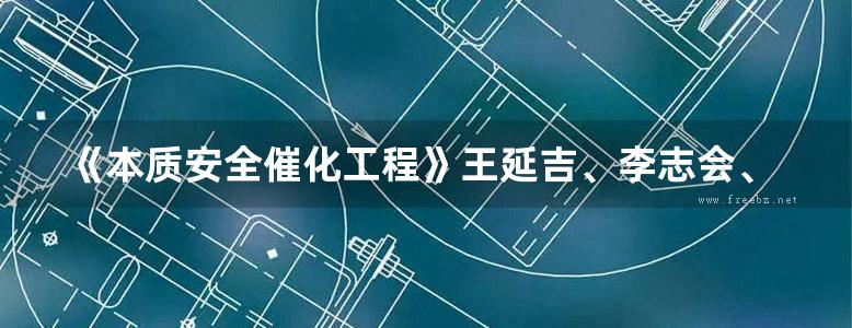 《本质安全催化工程》王延吉、李志会、王淑芳