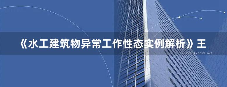 《水工建筑物异常工作性态实例解析》王志远、潘琳、沈慧