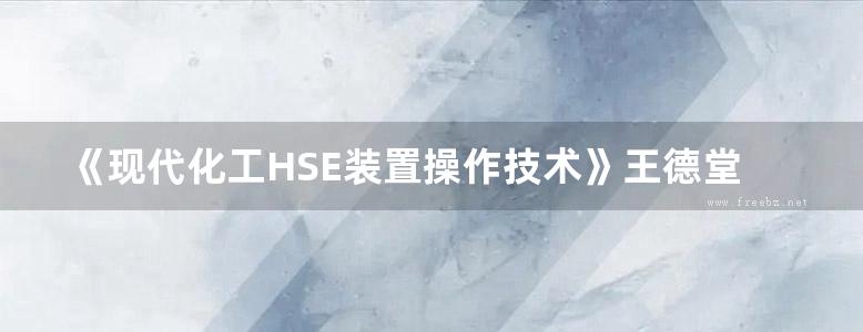 《现代化工HSE装置操作技术》王德堂