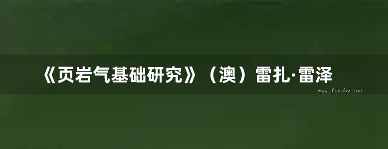 《页岩气基础研究》（澳）雷扎·雷泽